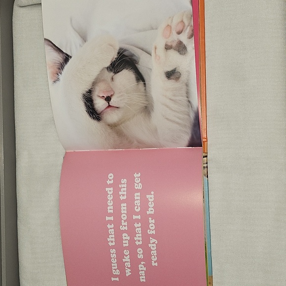 🟢 The Secret Thoughts of Cats Book - Picture 5 of 6